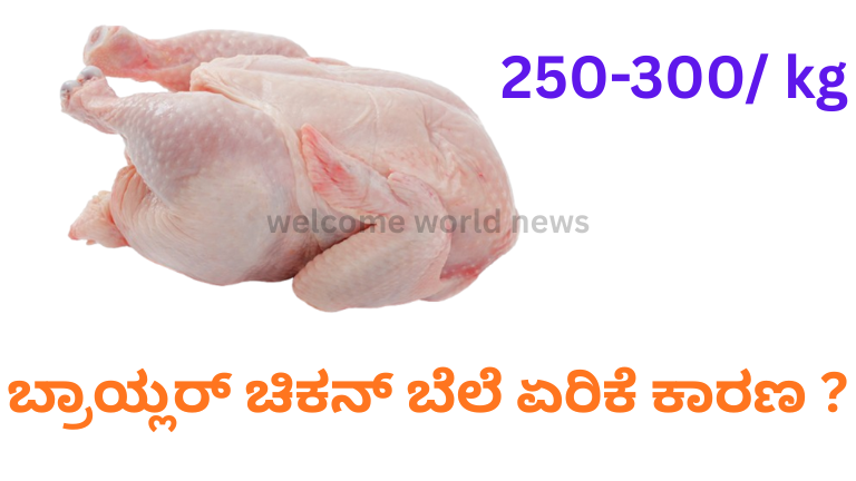ಬ್ರಾಯ್ಲರ್ ಚಿಕನ್ ಬೆಲೆ ಏರಿಕೆ ಕಾರಣ ?
