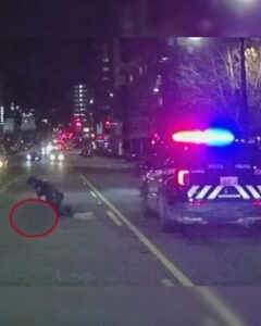 Jaahnavi Kandula ಪ್ರಕರಣ ಸಂಪೂರ್ಣ ಮಾಹಿತಿ – ಸಿಯಾಟಲ್ ಅಪಘಾತ